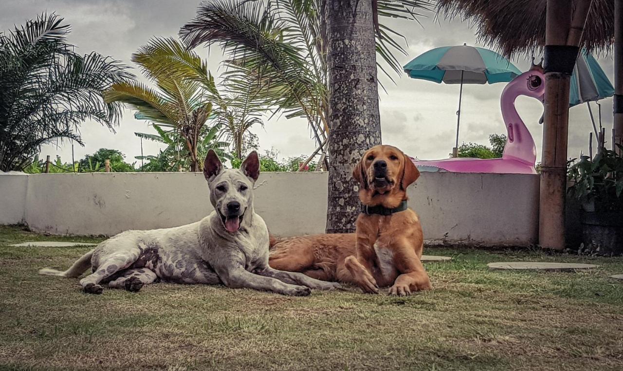 Clandestino Hostel Canggu Zewnętrze zdjęcie